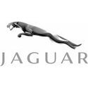 Jaguarin logo