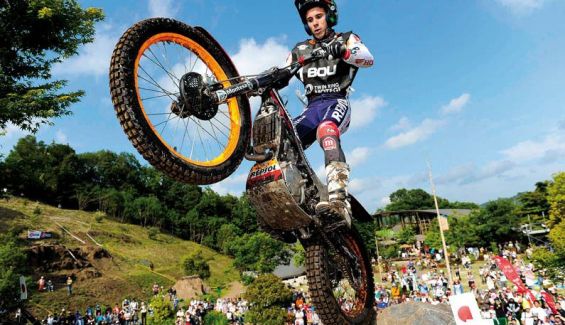 toni bou