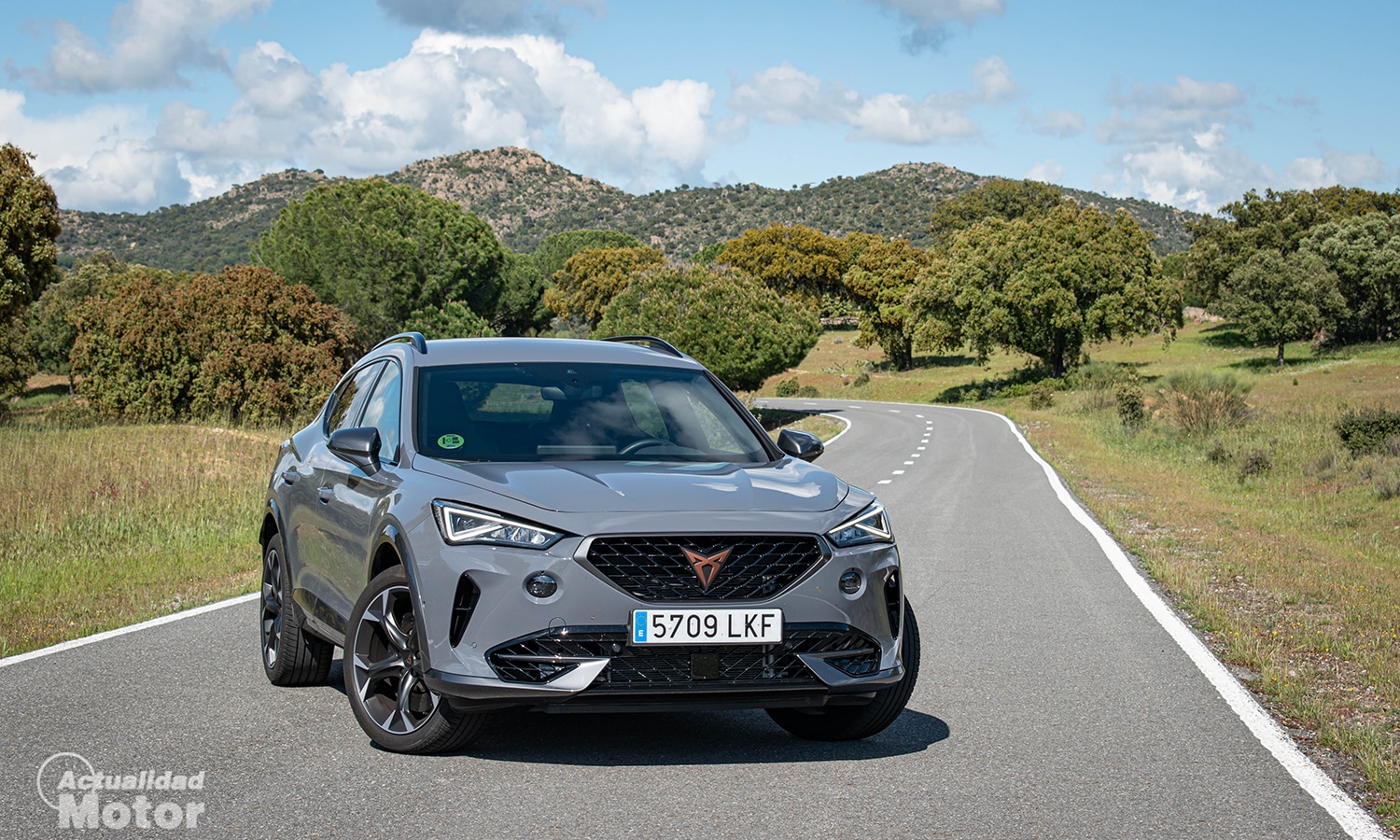 Testaa Cupra Formentoria