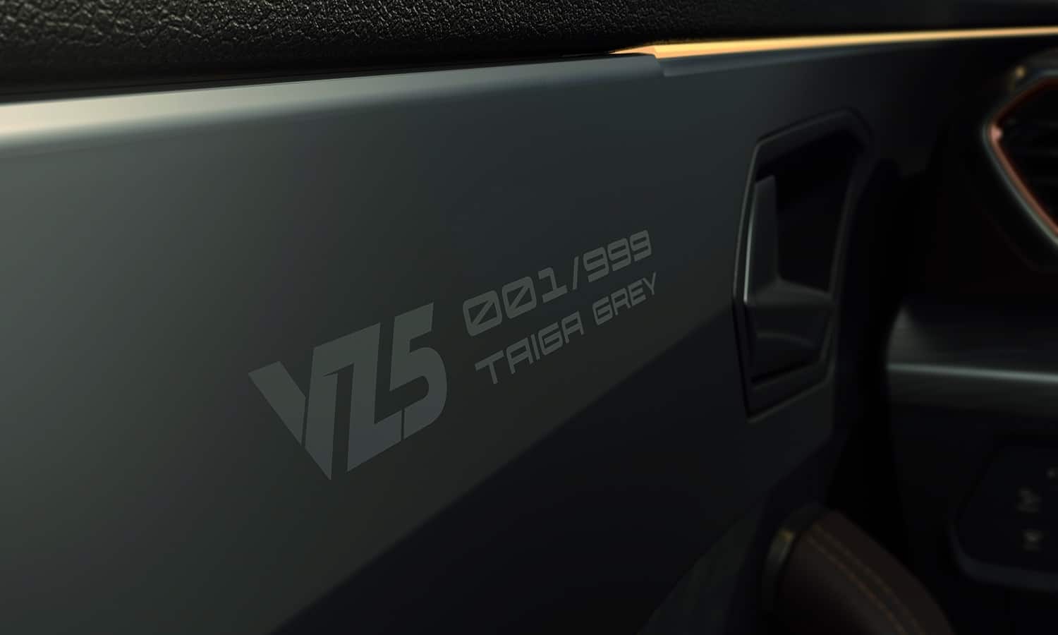 Cupra Formentor VZ5 Taiga Grey numerointi